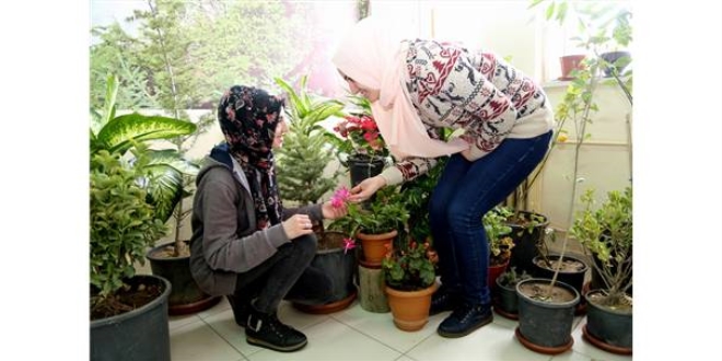 Nevşehir'de okulda 'doğal yaşam alanı' oluşturuldu