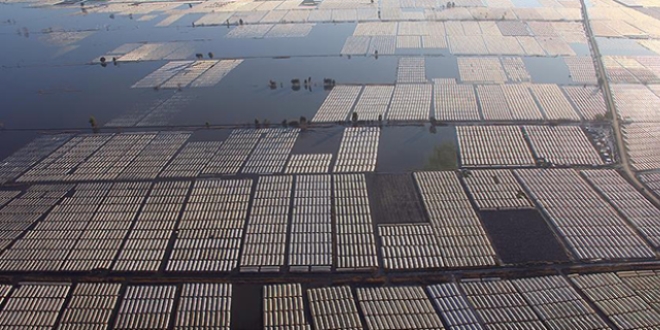 'Selden zarar g�renlerin vergi ve SGK bor�lar� erteleniyor'