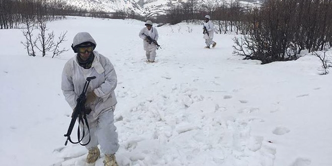Tunceli'de terör örgütlerinin 'kış üslenmesi'ne ağır darbe