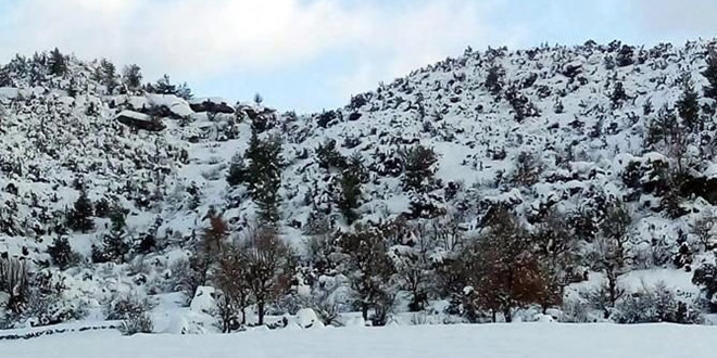 Eski belde belediye başkanı arazide ölü bulundu