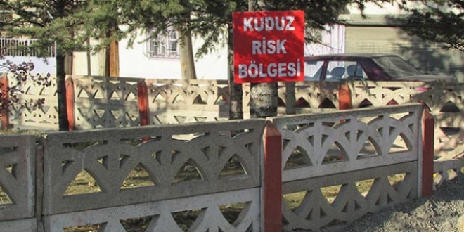 Sandıklı'da kuduz karantinası
