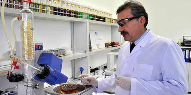 T�rk akademisyen 'fenols�z' mikro besin g�bresi �retti