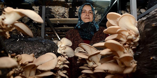 Merakla ba�lad� �retici oldu