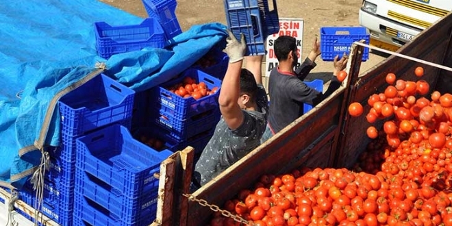 Domatesin fiyat�n� ��r�terek artt�r�yorlar