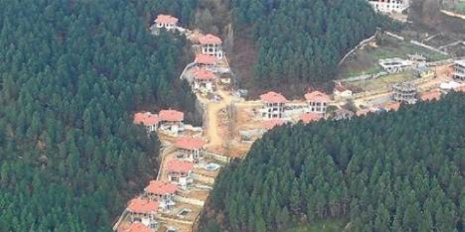 Orman Kanunu uygulama y�netmeliklerinde de�i�iklik