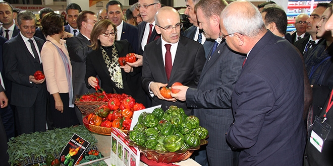 Şimşek: Bu sistem doğrudan milletin yönettiği bir model