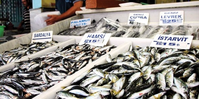 Balık fiyatlarına fırtına zammı