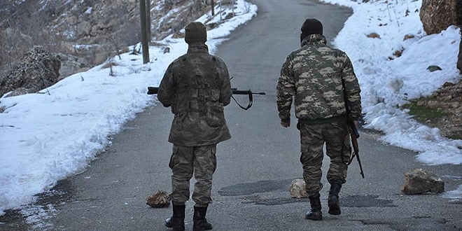 Terör örgütü PKK'ya yılın ilk ayında ağır darbe