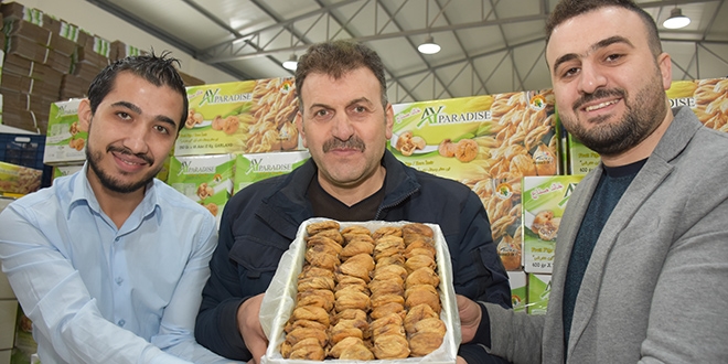 Suriyeli 3 mühendis 'incir' patronu oldu