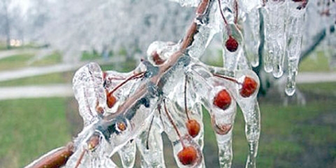Meteoroloji'den Ege Bölgesi için fırtına ve zirai don uyarısı