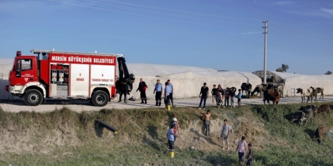 Gebe inek düştüğü yerden 15 saatte kurtarıldı
