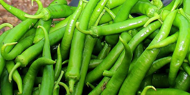 Bayraktar'dan 'biberde kal�nt�' iddialar�na yan�t