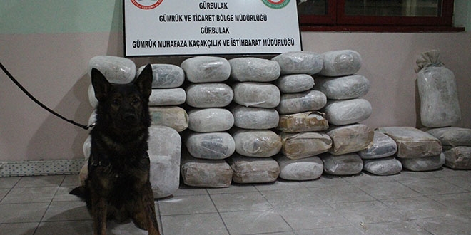 Ağrı'da yarım tonu aşkın eroin yakalandı