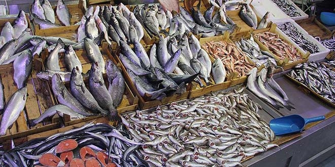 Kar yağışı balık fiyatlarını artırdı