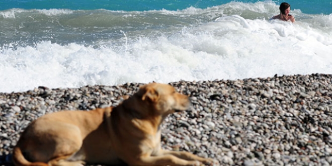 Antalya'da turistler denize girdi