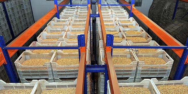 Güneydoğu'dan 299 milyon dolarlık hububat ihracatı