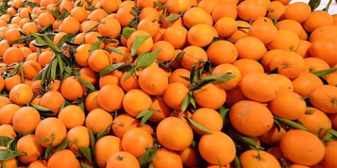 Rusya ile normalle�me �abalar� 'meyve verdi'