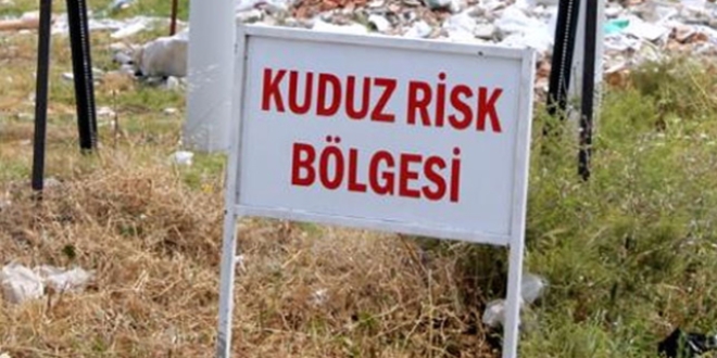 Kayseri'de kuduz karantinas�