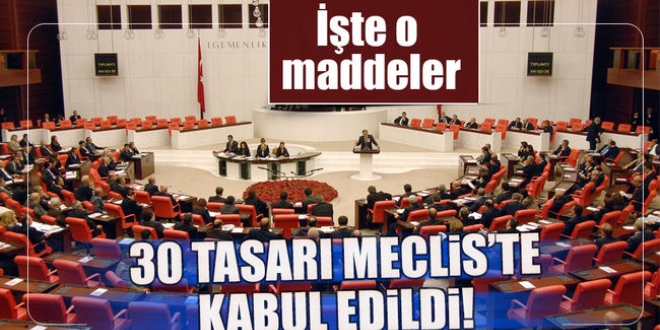 30 tasarı Meclis'te kabul edildi