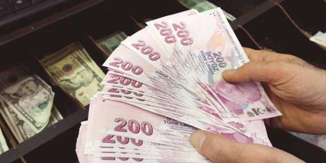 TL 5 aydan sonra, şubat ayında değer kazandı