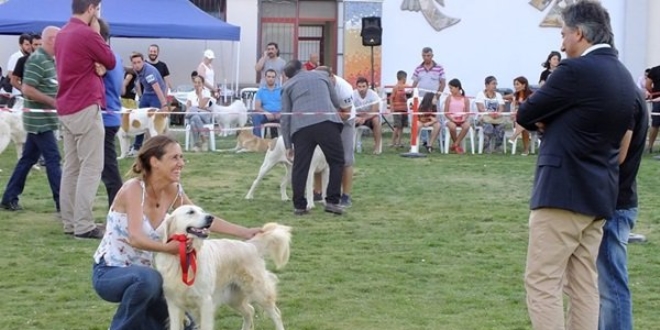 Antalya'da k�pek �rklar� yar��mas� yap�ld�