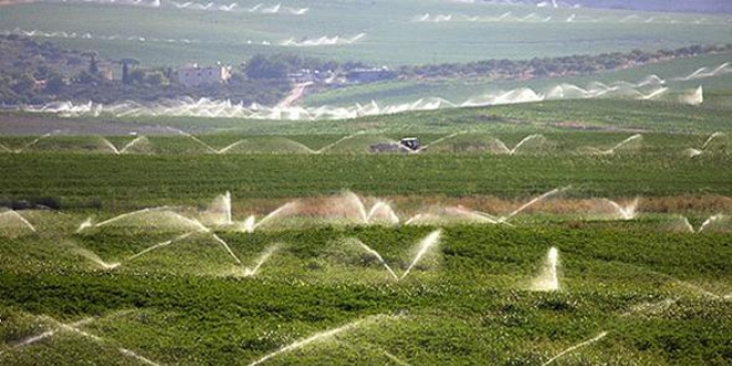 'Toplu kanut yapaca��z diye tar�m arazilerini kaybettik'