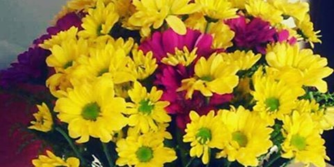 Helallik isteyen ��retmenlerine ellerinde �i�eklerle gittiler