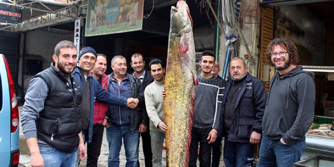 Manisa'da 80 kiloluk yayın balığı yakalandı