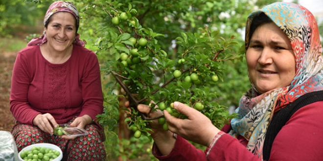 Can erik �reticinin y�z�n� g�ld�r�yor