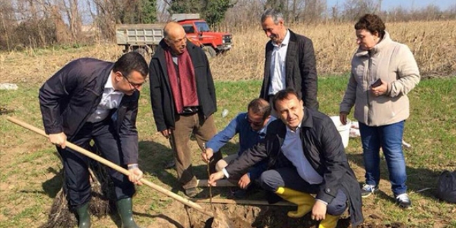 F�nd�k �reticisi cevizle kazanc�n� ikiye katlayacak