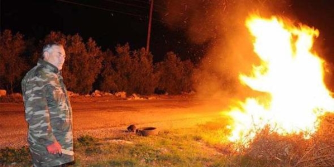 Manisa'da don erkenci bağlara zarar verdi