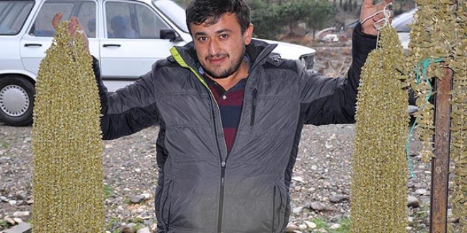 Kurutulmuş bamya 'altın' kadar değerli