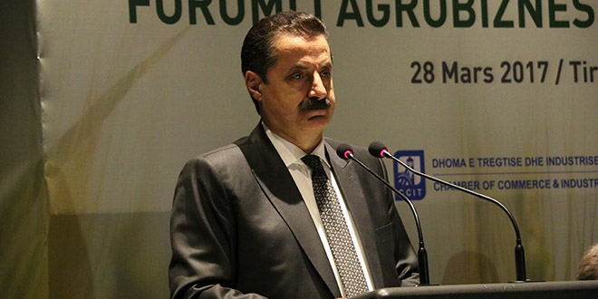 Bakan �elik'ten Arnavutluk'a 'FET�' uyar�s�