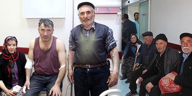 Köyde aç kurt dehşeti: 4 yaralı