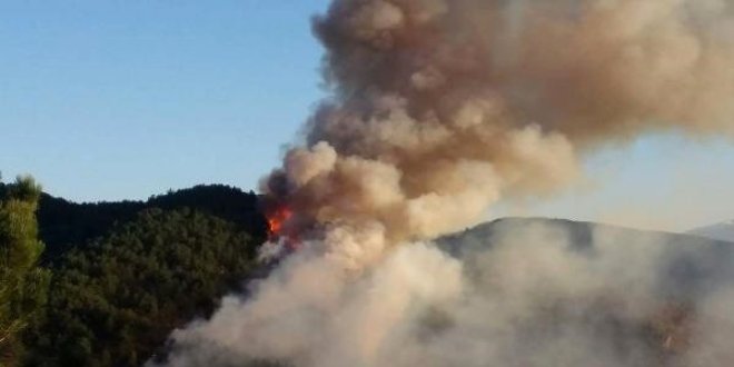 Kastamonu'daki orman yangını söndürülmeye çalışılıyor