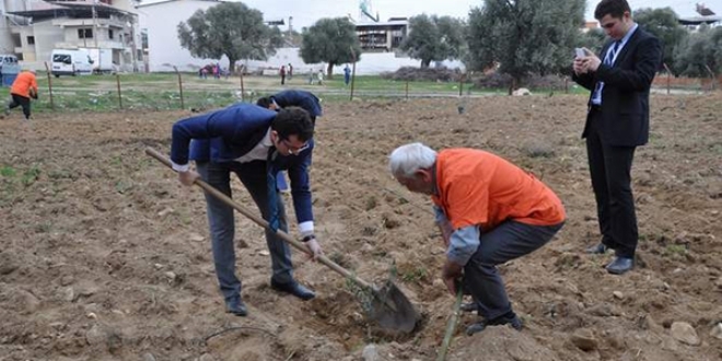 Hükümlüler, 15 Temmuz şehitleri için fidan dikiyor