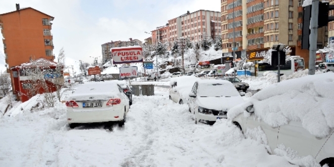 Bitlis'te kar ya hayat olumsuz etkiledi