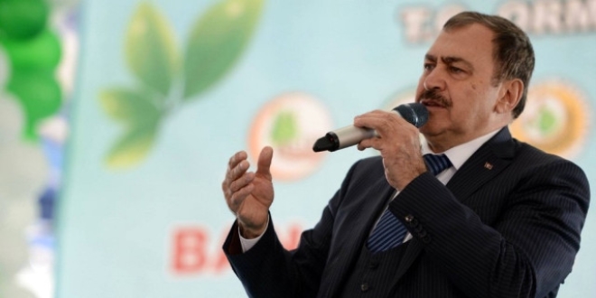 Eroğlu: Bayrağını vatanını, milletini seven 'evet' diyor