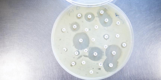 'Her bir h�cre ayn�m�z� ortaya ��karabilir'