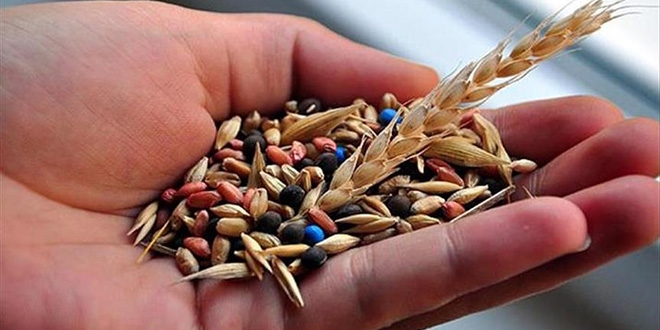 Trkiye'nin tohum ihracat ve retiminde rekor