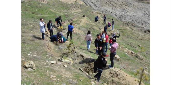Hakkari'de engelli çocuklar fidan dikti