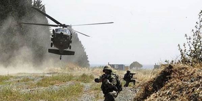 Pentagon'dan TSK operasyonu açıklaması