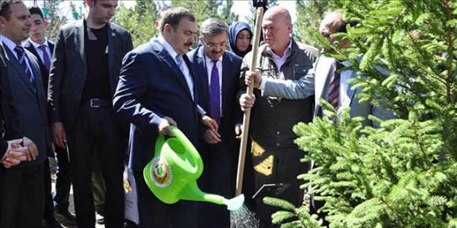 'Ağacın, yeşilin değerini ve önemini biliyoruz'