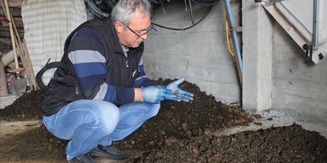 Emekli polis, 60 bin solucanla organik gübre üretiyor