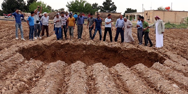 Şanlıurfa'da pamuk tarlasında obruk oluştu