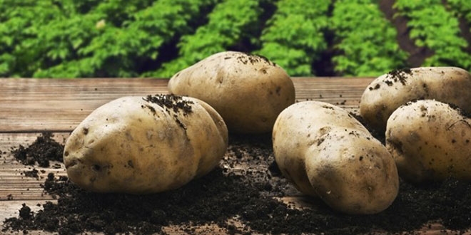 Nisan'da zam şampiyonu 'patates'