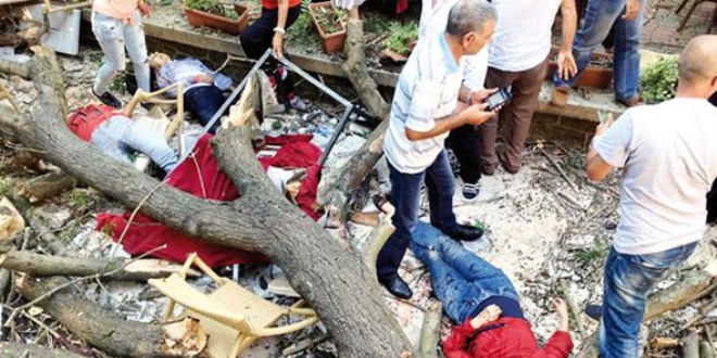 3 kişinin hayatını kaybettiği olayda tek suçlu: Ağaç
