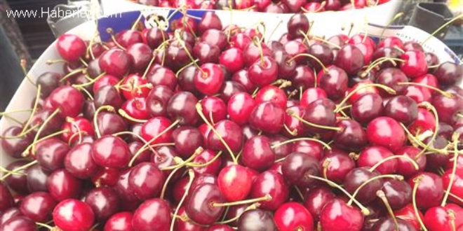 Kiraz�n fiyat� 15 liraya d��t�