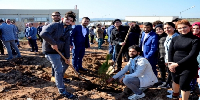 Kastamonu'da 184 bin fidan toprakla buluşturuldu