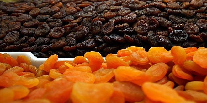 Malatya kayısısı lisanslı depoyla değerini bulacak